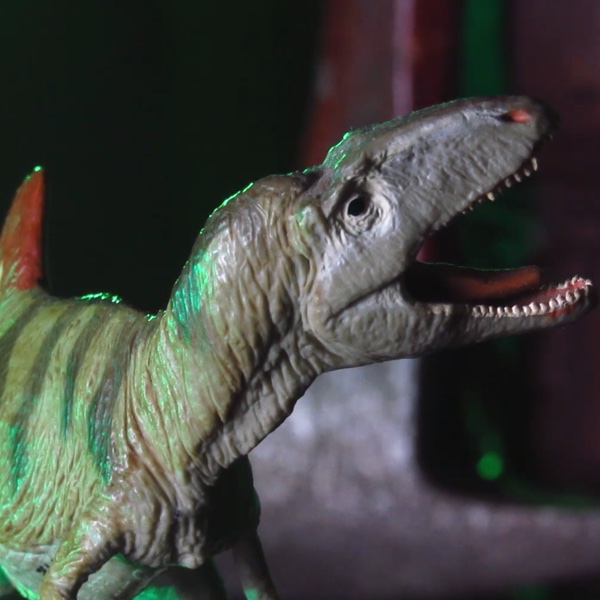 Katy “The Paccoon” Higgins (The OTHER Dinosaur Island)