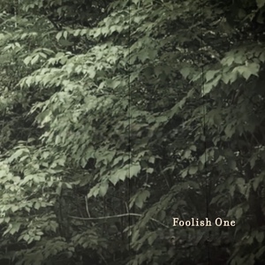 Foolish One