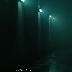 I Can See You