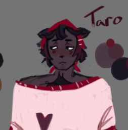 Taro