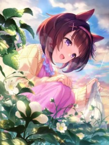 Nishino Flower