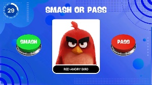 Red angry bird