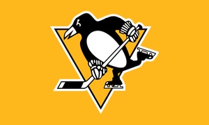 Pittsburgh Penguins