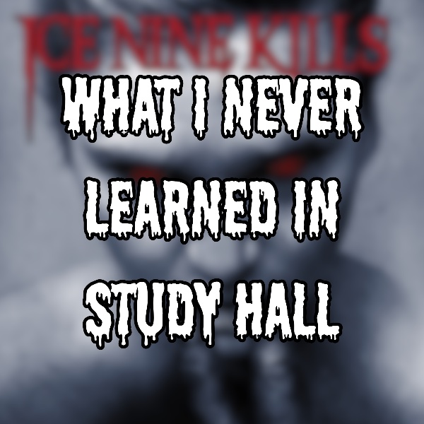 What I Never Learned in Study Hall