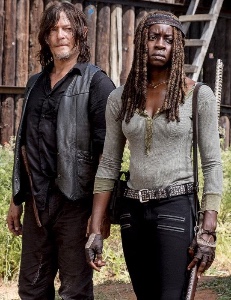 Daryl x Michonne