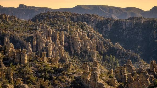 Chiracahua