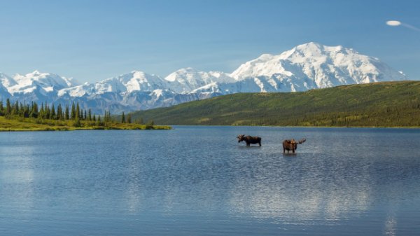 Denali