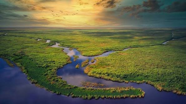 Everglades