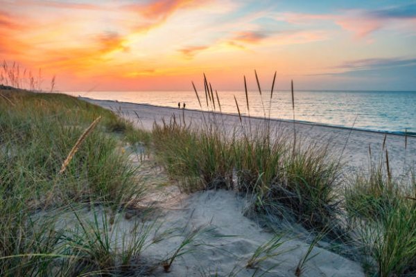 Indiana Dunes
