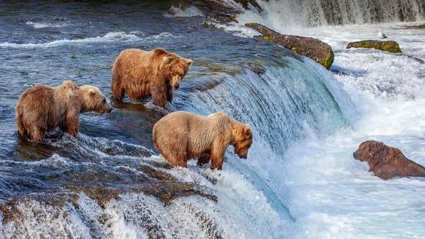 Katmai
