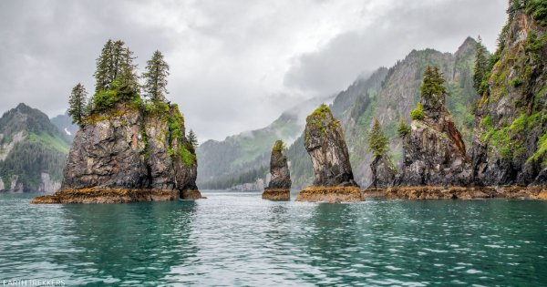 Kenai Fjords