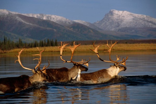 Kobuk Valley