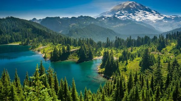 Mount Rainier