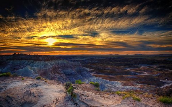 Petrified Forest