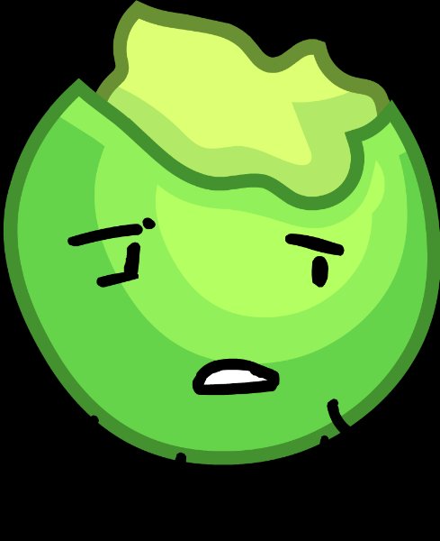 Cabbage