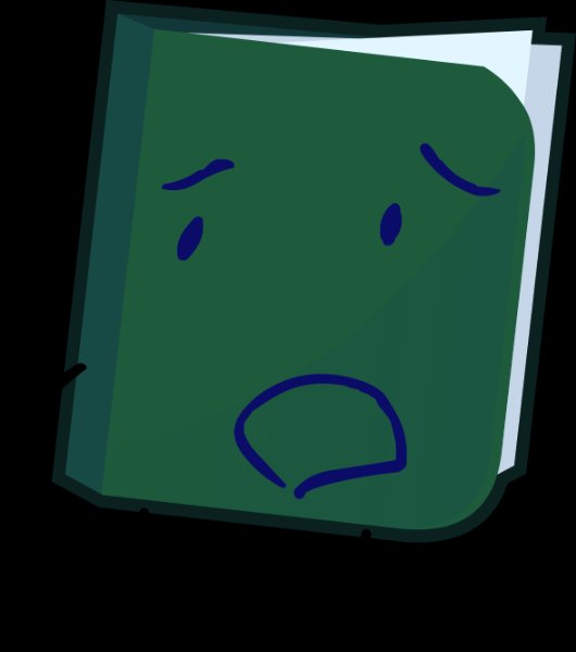 Journal