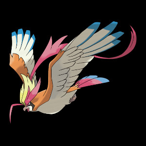 Mega Pidgeot