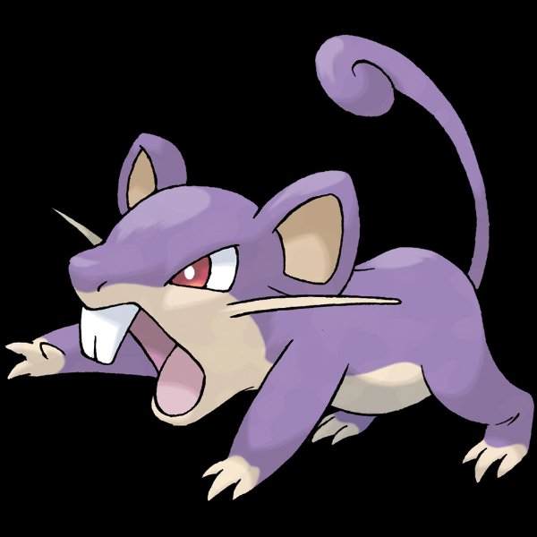 0019 Rattata