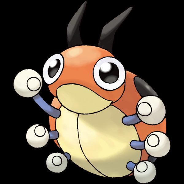0165 Ledyba