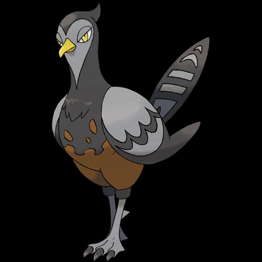 0521 Unfezant Female