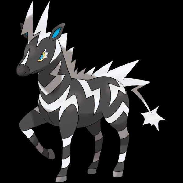 0523 Zebstrika