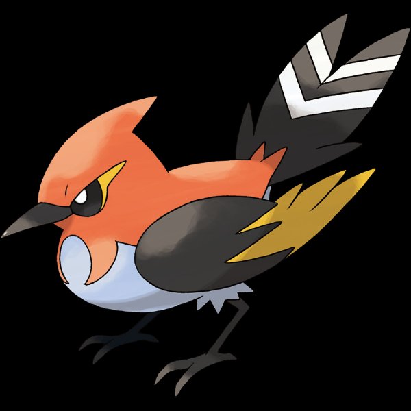 0662 Fletchinder