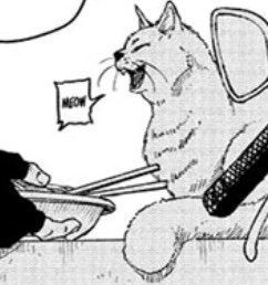 Ibuki’s cat