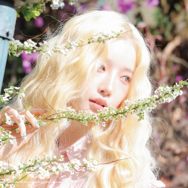Baby Flower