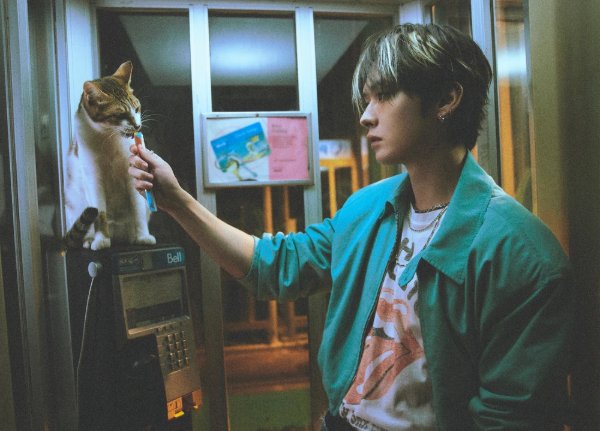 THIS & THAT - 11 (2026)