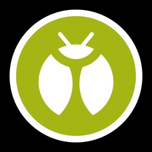 Bug