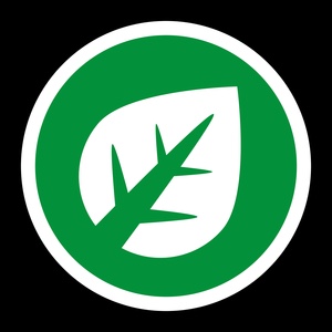 Grass