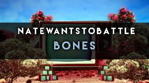 Bones