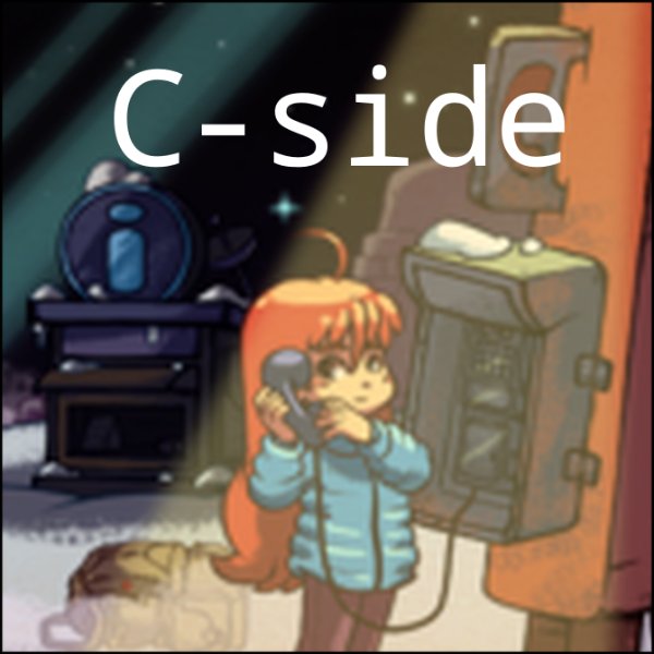 2C