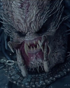 AVP Elder