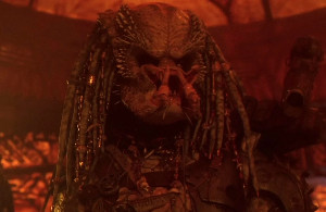 Greyback