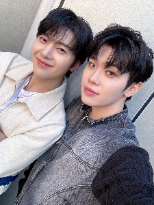 dingo music selca