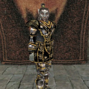Duke Vedam Dren