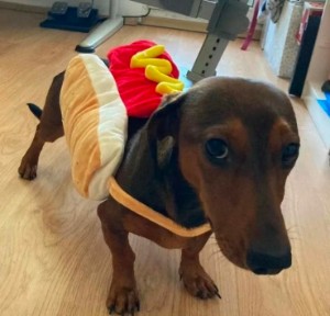 HOTDOG