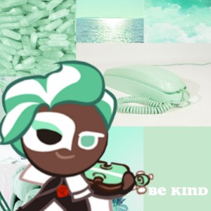 MINT CHOCO