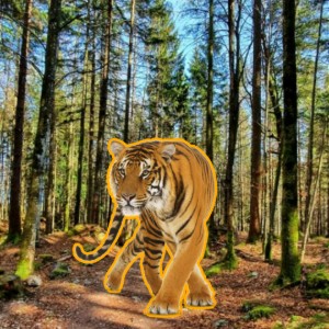 MASCOT