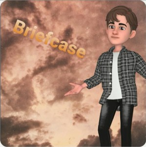 BRIEFCASE