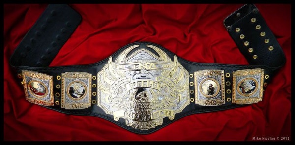 TNA World Championship (07-10)