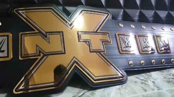 WWE NXT Championship (OG)