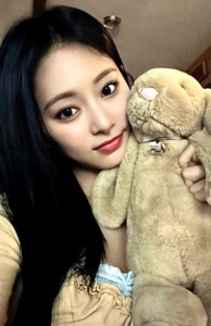 bunny plush