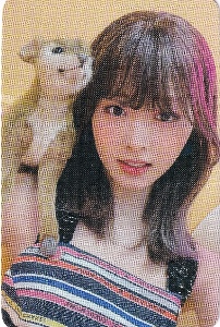 deer tzu