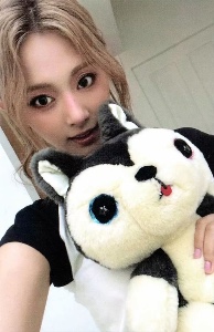 husky plushie
