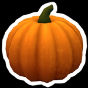 Pumpkin