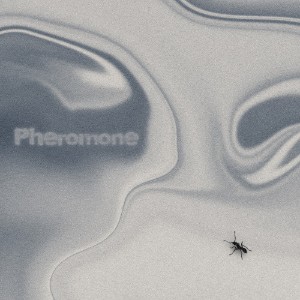 Pheromone (soundcloud)
