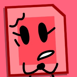 SD Card