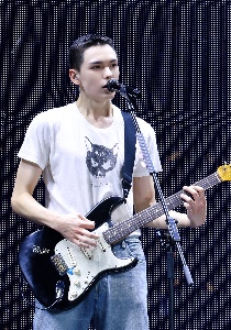 cat shirt